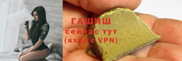 тгк Дмитриев