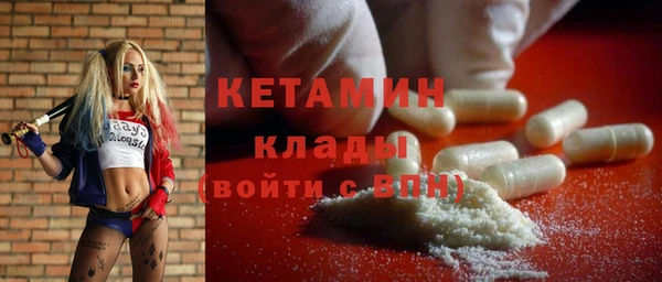 тгк Дмитриев
