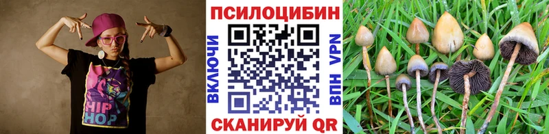 Купить где  Кушва  Галлюциногенные грибы Cubensis 